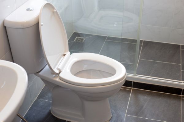 Toilet Replacement in Monroe Township