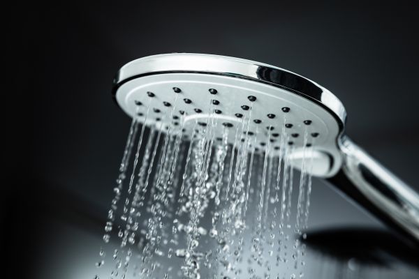 Cost of Shower Head Replacement in Monroe Township