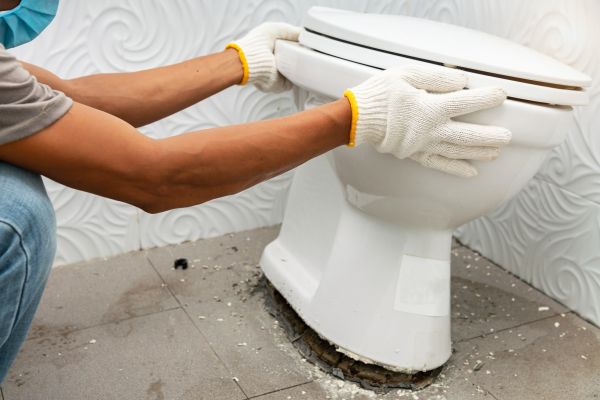 Cost of Toilet Removal in Monroe Township
